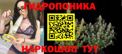 не бодяженный Гусиноозёрск