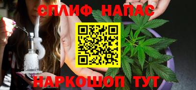гашик Гусев