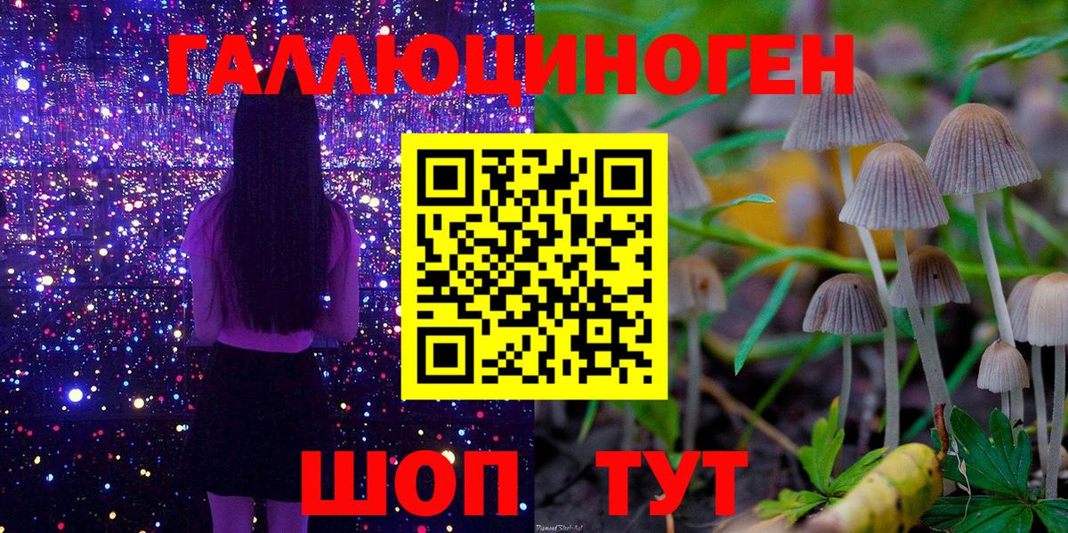 Салехард  Галлюциногенные грибы ЛСД  Вход с VPN 